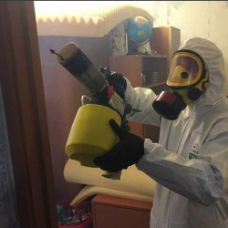 Уничтожение клопов в квартире. Алатырь